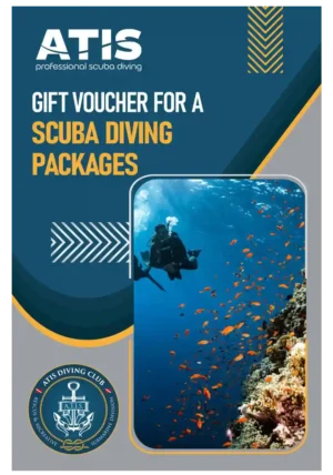 Buono regalo ATIS per Pacchetti Immersioni - Voucher con subacqueo e banco di pesci arancioni